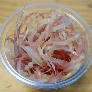 Cryptocoryne balansae pink