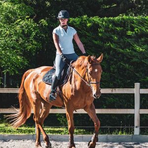 Monitor Experto de Equitación